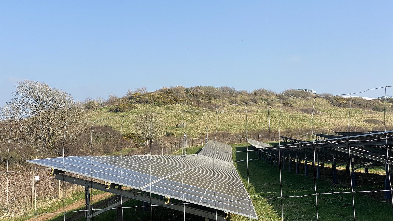 Array of solar panels